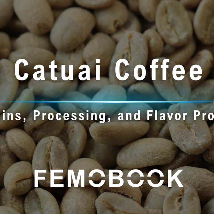 Catuai Coffee: Origin, Varietal Background, Flavor Profile, and Processing Methods