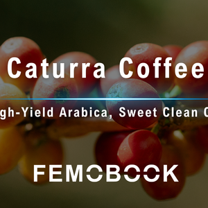 A Guide to Caturra Coffee: Origin, Flavor Profile, and Key Varietal Overview