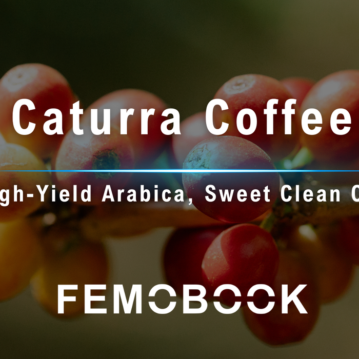 A Guide to Caturra Coffee: Origin, Flavor Profile, and Key Varietal Overview