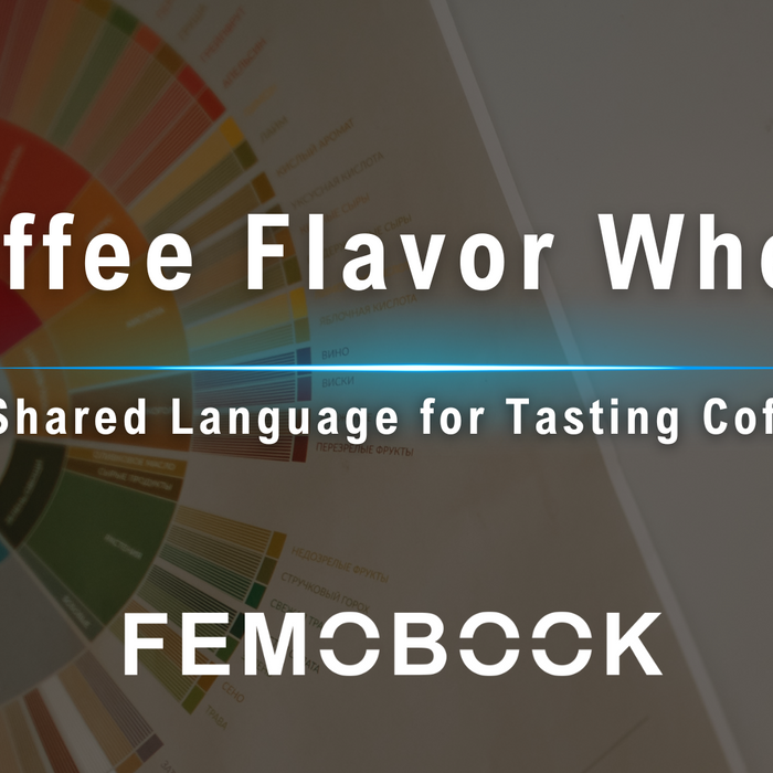 A Guide to Coffee Flavor Wheel