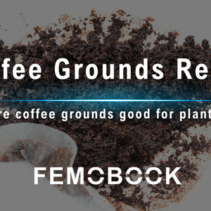 Used Coffee Grounds: How to Dry and Reuse Them for Plants, Cleaning, and More