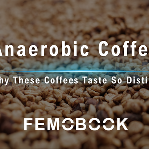 Anaerobic Fermentation for Coffee Processing: The Flavor Impact