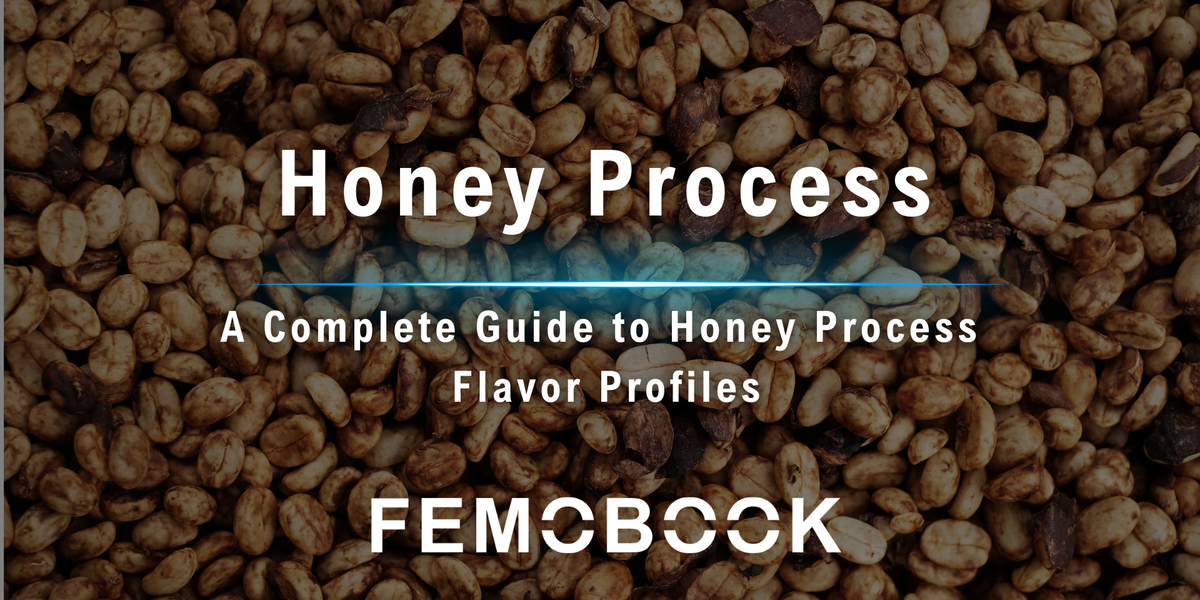 What Is Honey Process Coffee?A Complete Guide to Honey Process Flavor ...