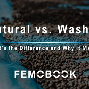 Natural vs. Washed Coffee Processing: What’s the Difference