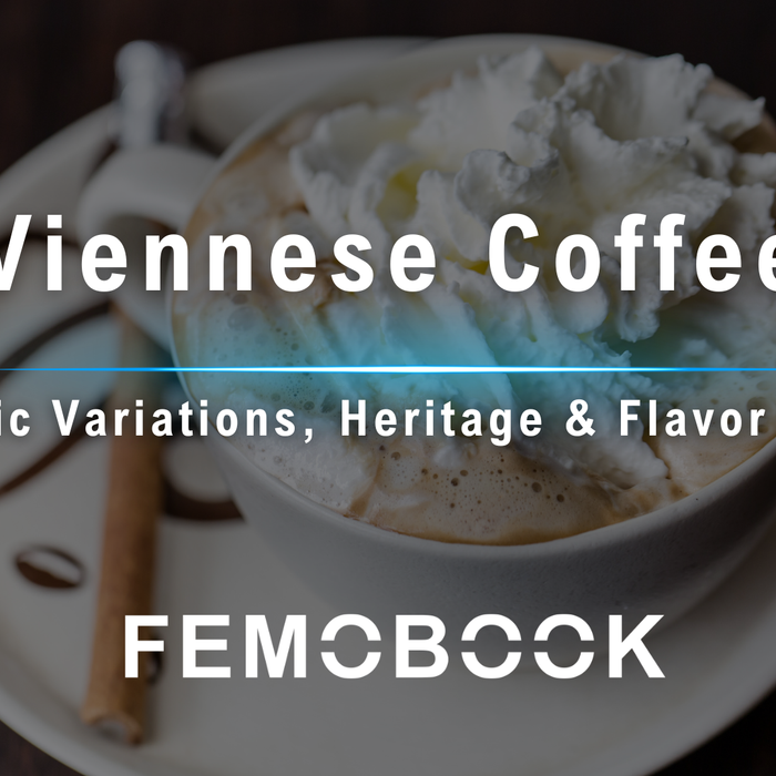 The Ultimate Guide to Viennese Coffee: 4 Classic Variations