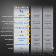A2 Electric Coffee Grinder